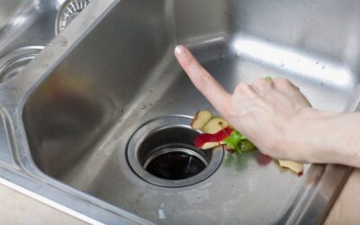 Garburator or Compost?