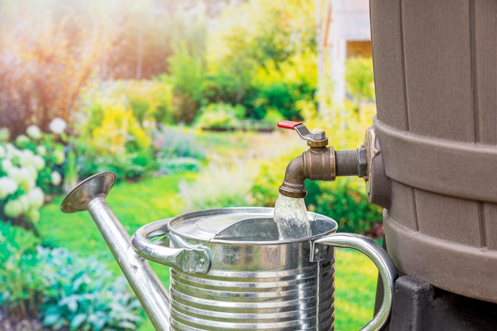 Common Summer Plumbing Problems in Calgary