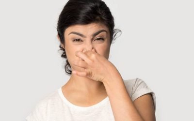 How Do Calgary Plumbers Manage Mainline Sewer Issues?