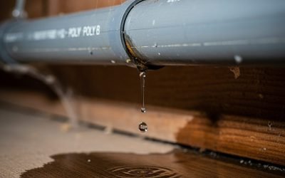 Why Trust Aquality for Poly B Pipe Repair Services?