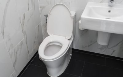 How to Spot Common Toilet Issues Before They Become Costly