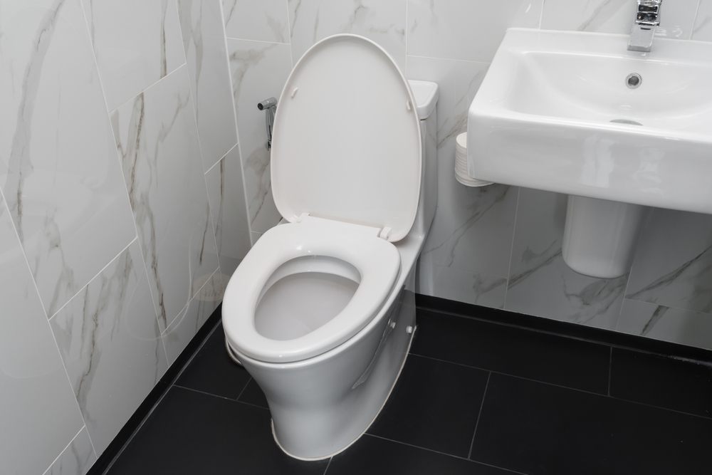 How to Spot Common Toilet Issues Before They Become Costly