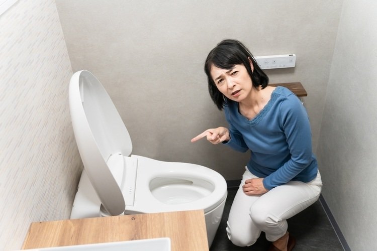 How to Spot Common Toilet Issues Before They Become Costly. bad smells near your toilet. Lifestyle image of a middle-aged woman suffering from toilet troubles.